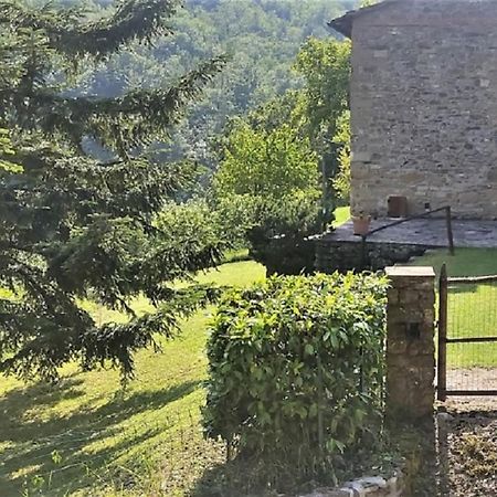 Casa Titina Riposo E Relax Nella Campagna Toscana Pratovecchio Exterior photo