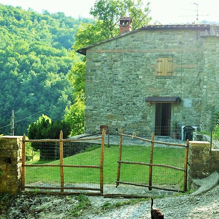 Casa Titina Riposo E Relax Nella Campagna Toscana Pratovecchio Exterior photo