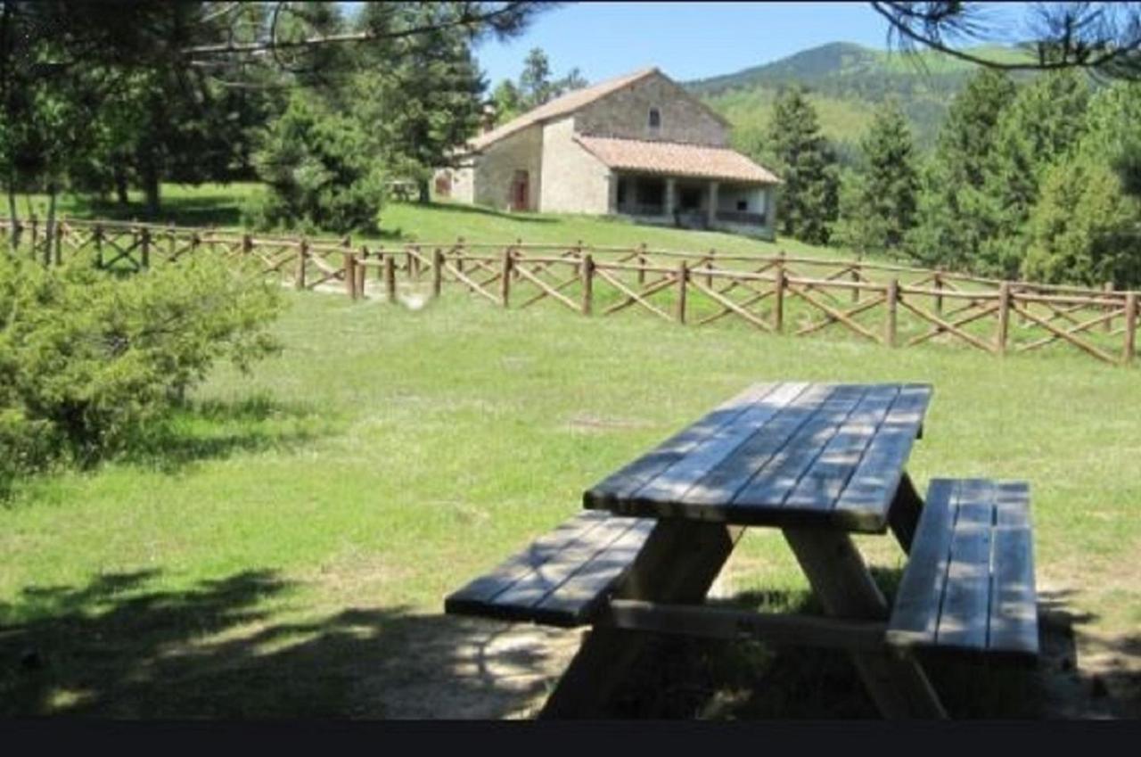 Casa Titina Riposo E Relax Nella Campagna Toscana Pratovecchio Exterior photo
