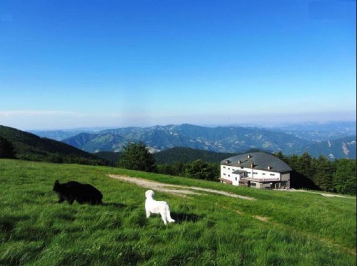 Casa Titina Riposo E Relax Nella Campagna Toscana Pratovecchio Exterior photo