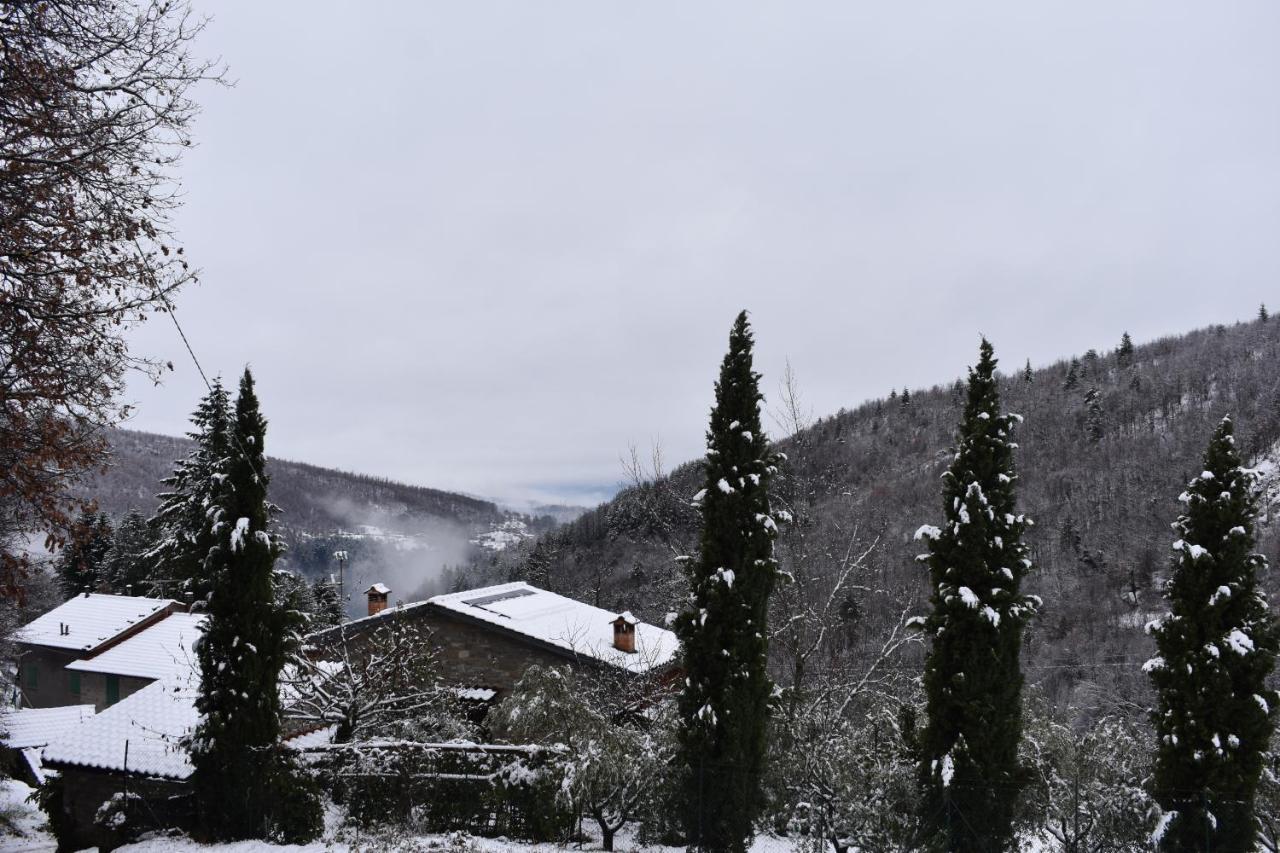 Casa Titina Riposo E Relax Nella Campagna Toscana Pratovecchio Exterior photo