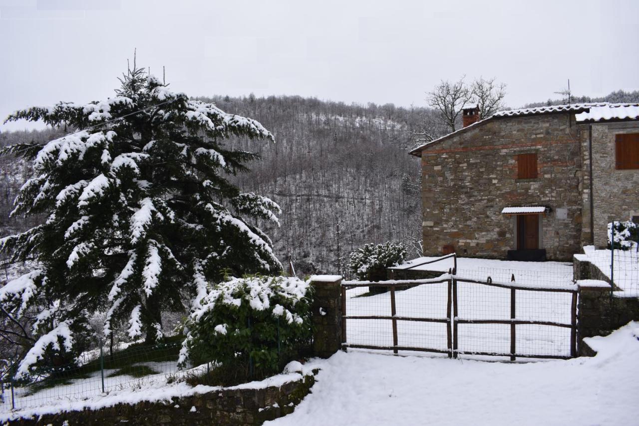 Casa Titina Riposo E Relax Nella Campagna Toscana Pratovecchio Exterior photo