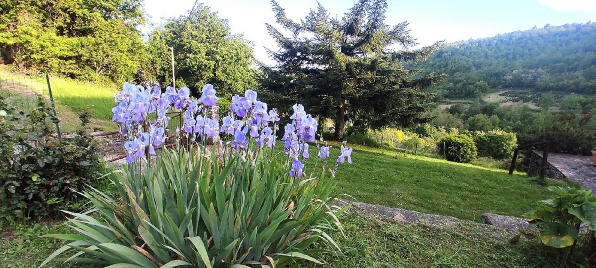 Casa Titina Riposo E Relax Nella Campagna Toscana Pratovecchio Exterior photo